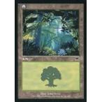中古マジックザギャザリング 347/350[C]：【ONS】森/Forest