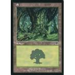 中古マジックザギャザリング 348/350[C]：【ONS】森/Forest