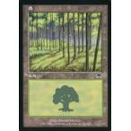 中古マジックザギャザリング 350/350[C]：【ONS】森/Forest