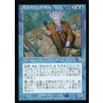 中古マジックザギャザリング 43/145[U]：【LGN】覆い隠しの達人/Master of the Veil