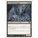 中古マジックザギャザリング 163/350[C]：【8ED】切り刻まれた軍勢/Severed Legion