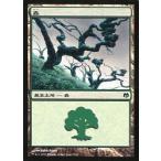中古マジックザギャザリング 78/81[C]：【DDL】森/Forest