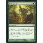 中古マジックザギャザリング 162/356[R]：【C13】野生の活力/Primal Vigor
