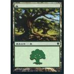中古マジックザギャザリング 353/356[C]：【C13】森/Forest