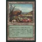 中古マジックザギャザリング [U]：【MIR】湿原の大河/Bad River