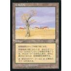 中古マジックザギャザリング [U]：【VIS】乾燥高原/Karoo