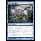 中古マジックザギャザリング 27/180[C]：【EVE】ウーナの寵愛/Oona’s Grace