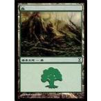 中古マジックザギャザリング 294/301[C]：【TSP】森/Forest