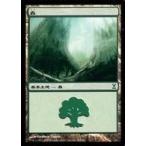 中古マジックザギャザリング 300/301[C]：【TSP】森/Forest