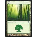 中古マジックザギャザリング 70/71[C]：【DDE】森/Forest