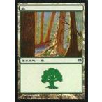 中古マジックザギャザリング 71/71[C]：【DDE】森/Forest