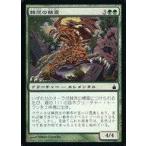 中古マジックザギャザリング 154/306[