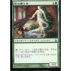 中古マジックザギャザリング 171/306[