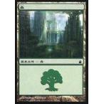 中古マジックザギャザリング 303/306[C]：【RAV】森/Forest