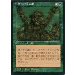 中古マジックザギャザリング [R]：【黒枠】生きている大地/Living Lands