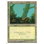 中古マジックザギャザリング [C]：【白枠】森/Forest