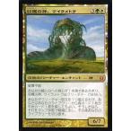 中古マジックザギャザリング [神話R] ： 収穫の神、ケイラメトラ/Karametra，God of Harvests