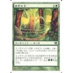 中古マジックザギャザリング 262/350[C]：【9ED】はびこり/Overgrowth