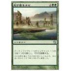 中古マジックザギャザリング 234/350[U]：【9ED】忍び寄るカビ/Creeping Mold