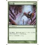 中古マジックザギャザリング 259/350[U]：【9ED】針の嵐/Needle Storm