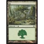 中古マジックザギャザリング 382/383[C]：【10E】森/Forest