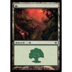 中古マジックザギャザリング 246/249[C]：【ALA】森/Forest
