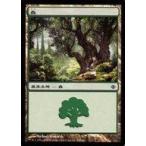 中古マジックザギャザリング 249/249[C]：【ALA】森/Forest