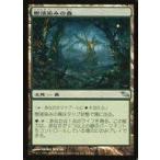 中古マジックザギャザリング 279/301[U]：【SHM】樹液染みの森/Sapseep Forest
