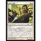 中古マジックザギャザリング 38/301[U]：【LRW】歩哨の樫/Sentry Oak