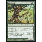 中古マジックザギャザリング 197/301[C]：【LRW】戦杖の樫/Battlewand Oak