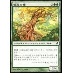 中古マジックザギャザリング 201/301[C]：【LRW】雲冠の樫/Cloudcrown Oak
