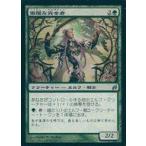 中古マジックザギャザリング 220/301[U]：【LRW】傲慢な完全者/Imperious Perfect