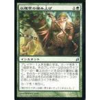 中古マジックザギャザリング 226/301[U]：【LRW】収穫祭の編み上げ/Lammastide Weave