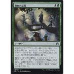 中古マジックザギャザリング 178/272[U]：群れの結集/Gather the Pack