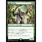 中古マジックザギャザリング 173/249[R]：【EMA】傲慢な完全者/Imperious Perfect