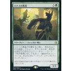 中古マジックザギャザリング [R]：ロナスの勇者/Champion of Rhonas
