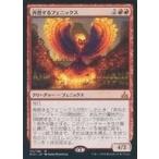 中古マジックザギャザリング [神話R]：再燃するフェニックス/Rekindling Phoenix
