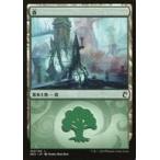 中古マジックザギャザリング [C]：森/Forest