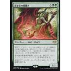 中古マジックザギャザリング 161/254[R]：【MH1】深き森の隠遁者/Deep Forest Hermit