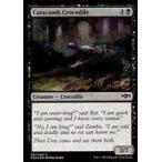 中古マジックザギャザリング [C]：【FOIL】Catacomb Crocodile/地下墓地のクロコダイル