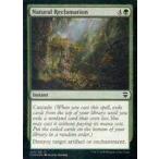 中古マジックザギャザリング [C] ： 【FOIL】Natural Reclamation/自然の再生