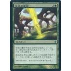 中古マジックザギャザリング 195/248[C]：【ROE】【FOIL】生命の運命/Living Destiny