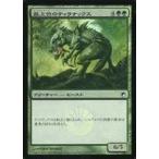 中古マジックザギャザリング 109/249[C]：【SOM】【FOIL】最上位のティラナックス/Alpha Tyrranax