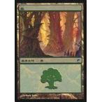 中古マジックザギャザリング 249/249[C]：【SOM】【FOIL】森/Forest
