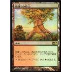 中古マジックザギャザリング 228/249[R ]：【M13】【FOIL】根縛りの岩山/Rootbound Crag