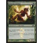 中古マジックザギャザリング [C]：【FOIL】旧き道の信奉者/Disciple of the Old Ways