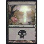 中古マジックザギャザリング 341/350[C]：【8ED】【FOIL】沼/Swamp