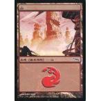 中古マジックザギャザリング 302/306[C]：【MRD】【FOIL】山/Mountain
