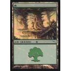 中古マジックザギャザリング 304/306[C]：【MRD】【FOIL】森/Forest