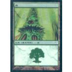 中古マジックザギャザリング 305/306[C]：【MRD】【FOIL】森/Forest